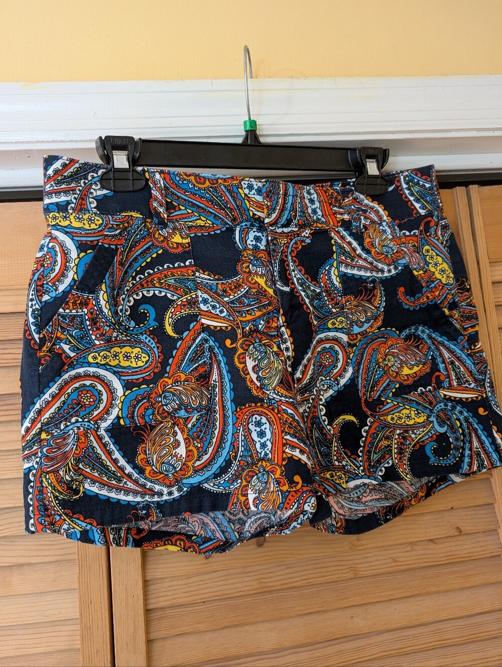 BANANA REPUBLIC Vibrant Multicolored Paisley Shorts 6